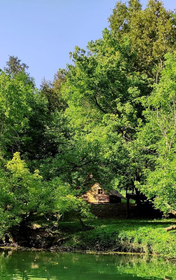 Готель Kolibe - Robinson Camp Kupa Netretic Екстер'єр фото